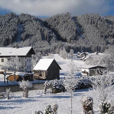 Ferienwohnung Vierthaler Гозау Экстерьер фото